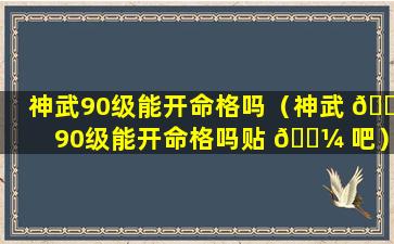 神武90级能开命格吗（神武 💐 90级能开命格吗贴 🐼 吧）